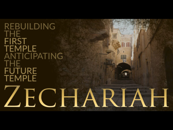 Zechariah: Background & 1:1 - 1:6 (Lesson 1) Image