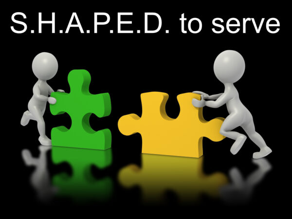 SHAPED: The Serving Gifts (Part 5) Image